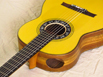 SH1927-spruce-trdbrdg-ovang-yellow-17-B