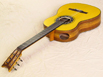SH1927-spruce-trdbrdg-ovang-yellow-18-B